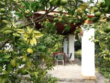 Terras azahar