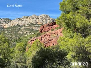 CovesRoges1200900