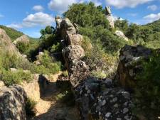 Wandeling 7 ebook