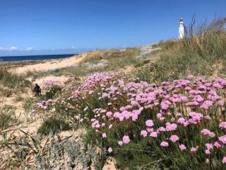 Cabo Trafalgar
