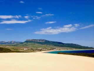 Bolonia