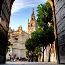 Plein met zicht op de Giralda