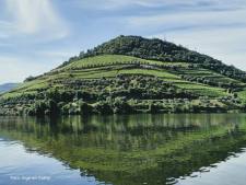 Douro