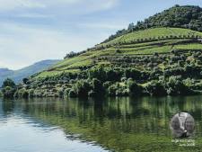 De Douro