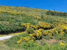 Voorjaar in Noord Portugal