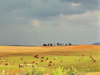 Alentejo