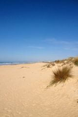 Eindeloze witte zandstranden
