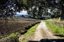 Jeep Excursie bij Ronda