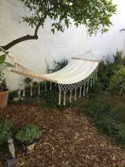 tuin