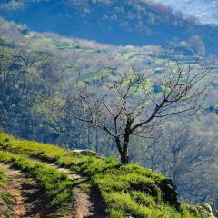 Valle del Jerte