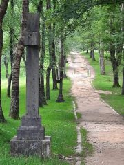 Necropolis van Argineta