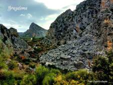 Omgeving Montejaque
