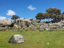 Berrocal de Trujillo
