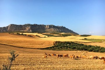 Het Torcal plateau rijst op uit de vlakte