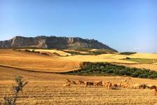 Het Torcal plateau rijst op uit de vlakte
