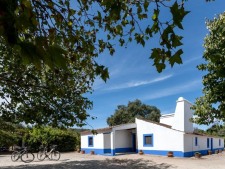 De Monte
