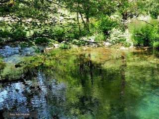 Fragas do Eume, Galicië