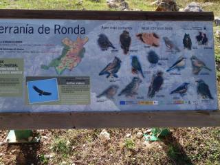 Serrania de Ronda