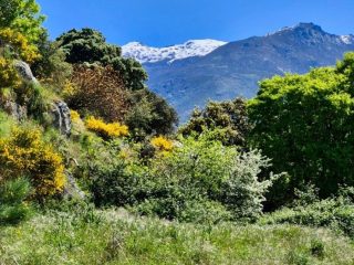 Zicht op de besneeuwde Sierra de Gredos Zicht op de besneeuwde Sierra de Gredos