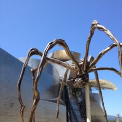 Guggenheim Guggenheim