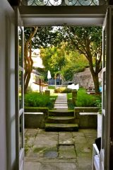 De tuin