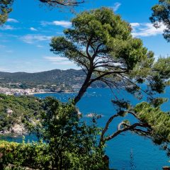 Omgeving: Cap Roig
