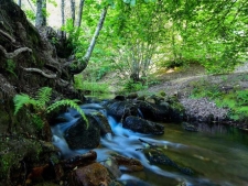 Een van de watervallen in het natuurpark
