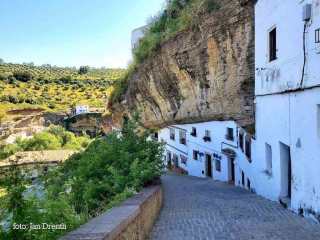 Sentenil de las Bodega