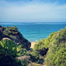 Conil
