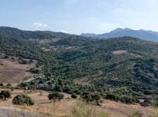 Rurale Cortijo bij Ronda