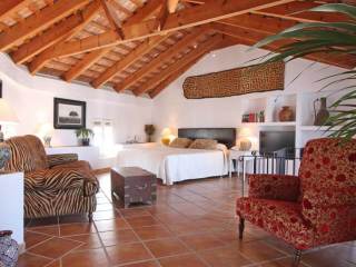 Suite africa