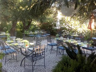 Terras
