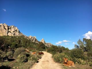 2. wandeldag 4
