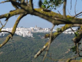 2. Omgeving Vejer