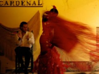 Flamenco