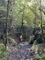 Hannie in de Selva de Irati