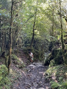 Hannie in de Selva de Irati