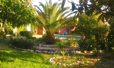 Tuin Tuin