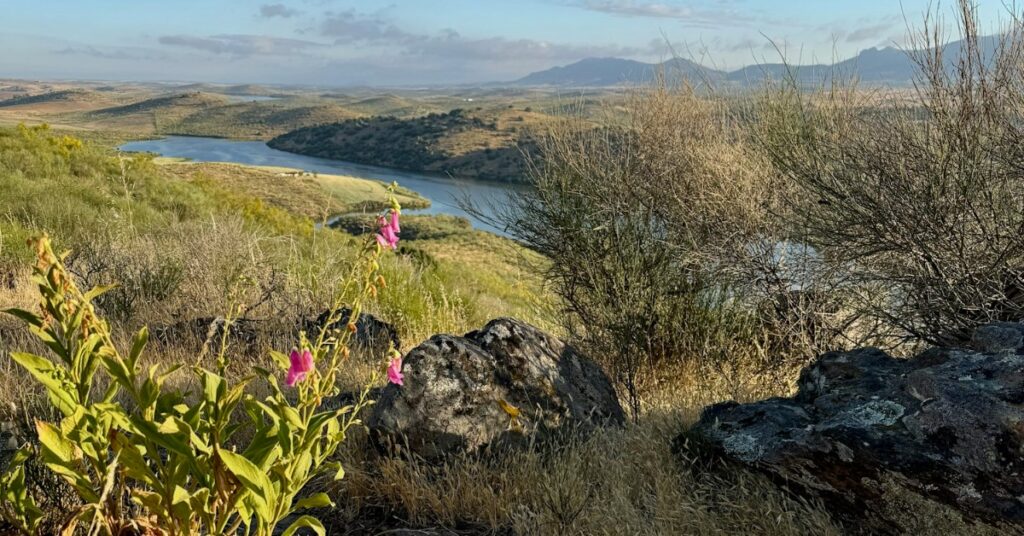 Dehesalandschap in het zuiden van Extremadura