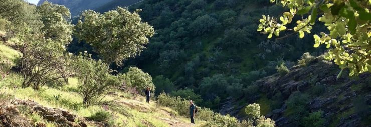 Wandelen in Monfragüe Nationaal park
